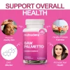 Saw Palmetto - Image 3